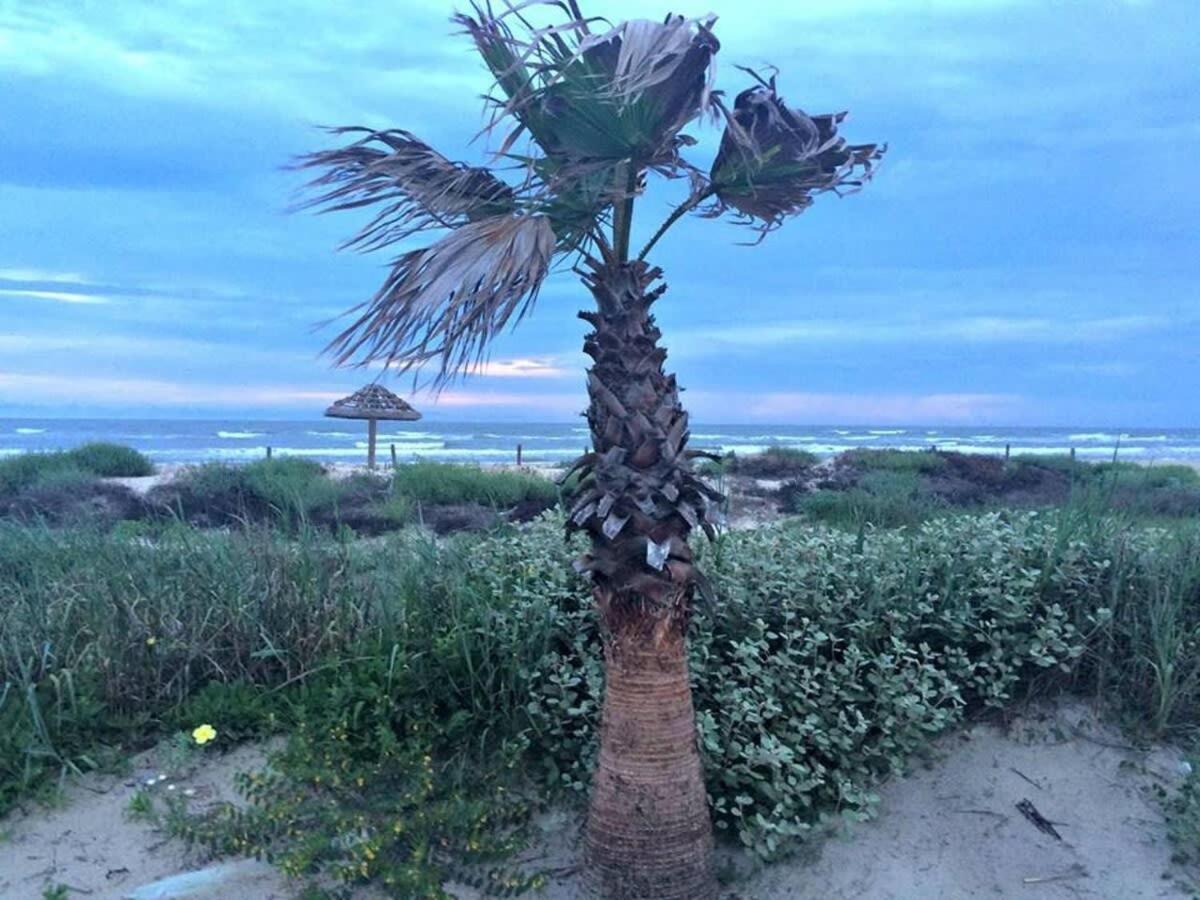 Fun in the Sun! Cozy Beach Pad w/ Gulf Views & Easy Access to the Sand! Surfside Beach Zewnętrze zdjęcie